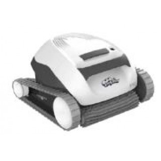 Dolphin E10 Domestic Automatic Pool Cleaner